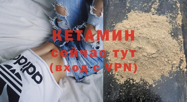 мдпв Ельня