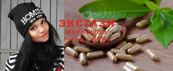 мдпв Ельня
