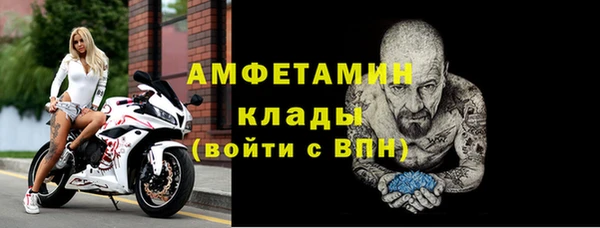 мдпв Ельня