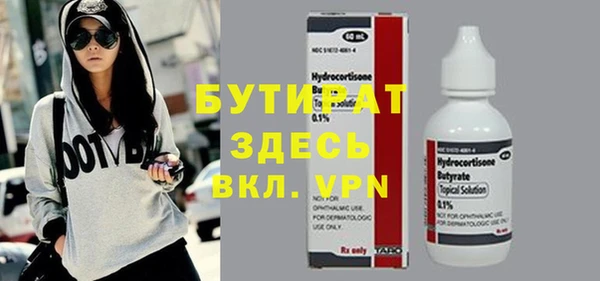 мдпв Ельня