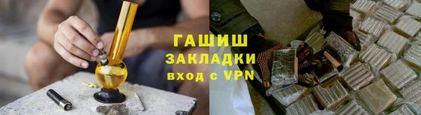 мдпв Ельня