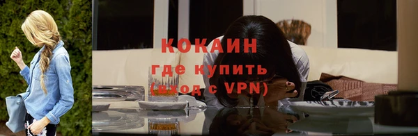 ALPHA PVP Елизово
