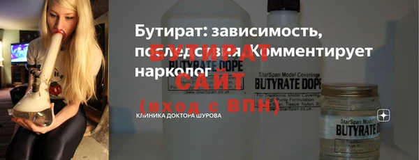 мдпв Ельня