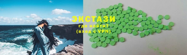 мдпв Ельня