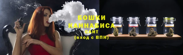ALPHA PVP Елизово