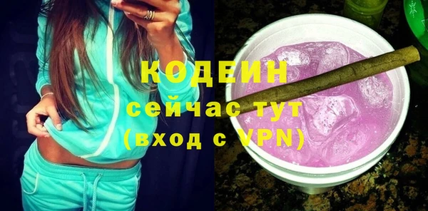 мдпв Ельня