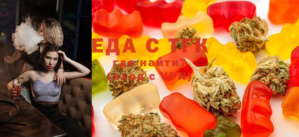 мдпв Ельня