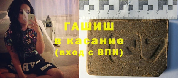 мдпв Ельня