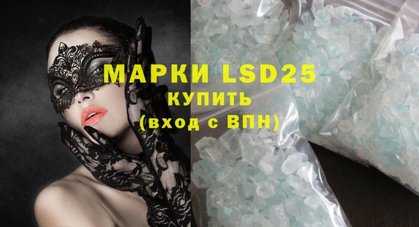 мдпв Ельня