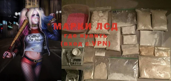 мдпв Ельня