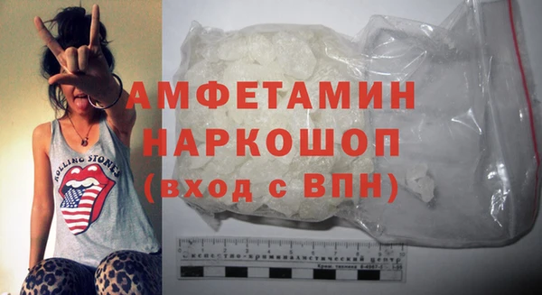 мдпв Ельня